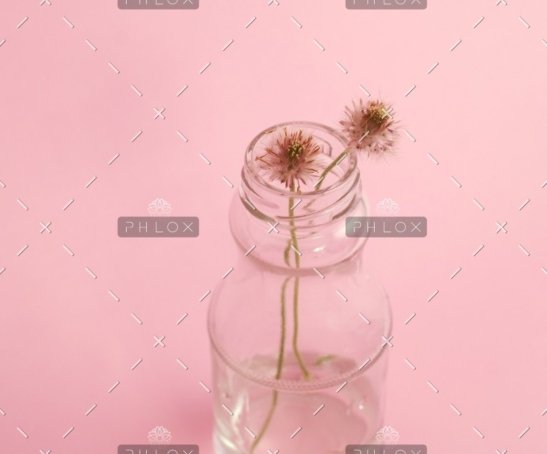 demo-attachment-796-photo-1429679310900-bad303d0e63a-1@2x